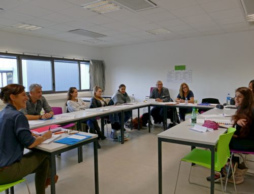 Formateur professionnel d’adultes